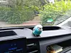 Kleiner blauer Papagei sitzt auf dem Armaturenbrett eines Autos mit Blick nach draußen.
