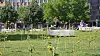 Die Sonnenblumen-Installation von Agnes Denes wurde am 21. Juni eröffnet.