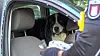 Der Hund wurde von der Polizei aus seiner lebensbedrohlichen Lage befreit: Die Beamten schlugen die Scheibe des Wagens ein.