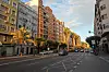 Straße Valencia mit Palmen, Autos und Häusern im Abendlicht.