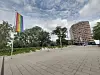 Regenbogenflagge mit schwarzem Kreuz am Mast auf einem leeren Platz, im Hintergrund Bäume und ein rundes Wohngebäude.