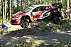 Toyota GR Yaris Rally1 springt auf Waldpiste bei der WRC Rally Finland in Jyväskylä.
