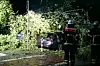 Feuerwehrleute sichern nachts eine Unfallstelle mit beschädigtem Auto und umgestürzten Ästen ab.