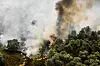 Großbrand im Naturschutzgebiet De Rosmolen mit dichten Rauchschwaden über dem Wald.
