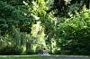 Mareike aus Hamburg sitzt am schattigen Weiher im Eimsbütteler Park, umgeben von dichtem sommerlichem Grün.