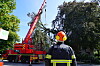 Feuerwehrmann mit Helm steht neben rotem Einsatzfahrzeug mit ausgefahrener Drehleiter.
