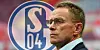 Neuer Schalke-Chef? Kandidat Ralf Rangnick hat sich entschieden.