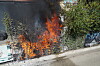 Hohe Flammen und schwarzer Rauch steigen hinter einem Metallzaun in einem dicht bewachsenen Hof auf.