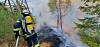 Feuerwehrleute löschen einen Waldbrand bei Schramberg; Rauch und Flammen steigen zwischen den Bäumen auf.