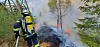 Feuerwehrleute löschen einen Waldbrand bei Schramberg; Rauch und Flammen steigen zwischen den Bäumen auf.