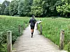 Person auf einem Holzsteg durch dicht bewachsene Natur