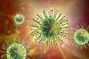 Das Coronavirus (Illustration).
