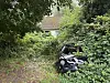 Schwarzes, überwuchertes Auto steht vor einem verwilderten Grundstück mit Wohnhaus.