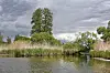Ruhiges Gewässer mit Schilf und hohen Bäumen unter wolkigem Himmel im Naturpark Peenetal