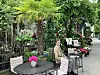 Mann steht auf einer üppig begrünten Caféterrasse neben Speisekarten und Tischen mit Blumen.