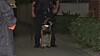Hund sitzt neben einer Person vor einem Gebäude, während links eine weitere Person teilweise sichtbar ist.