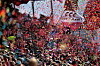 St. Pauli sucht neue Hymne – Fans entscheiden mit