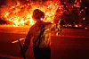 Feuerwehrmann bringt ein verletztes Tier vor den Flammen des Plaskett Fire in Sicherheit.