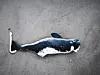 Junger schwarz-weißer Orca liegt auf einem grauen Untergrund.