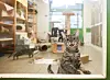 Getigerte Katze sitzt im Katzenhaus des Tierheims Süderstraße, weitere Katzen bewegen sich im Hintergrund.