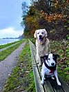 Kaylee und Elvis