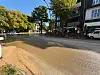 Breite Straße mit Bäumen, Wohnhäusern und parkenden Autos in einem urbanen Viertel