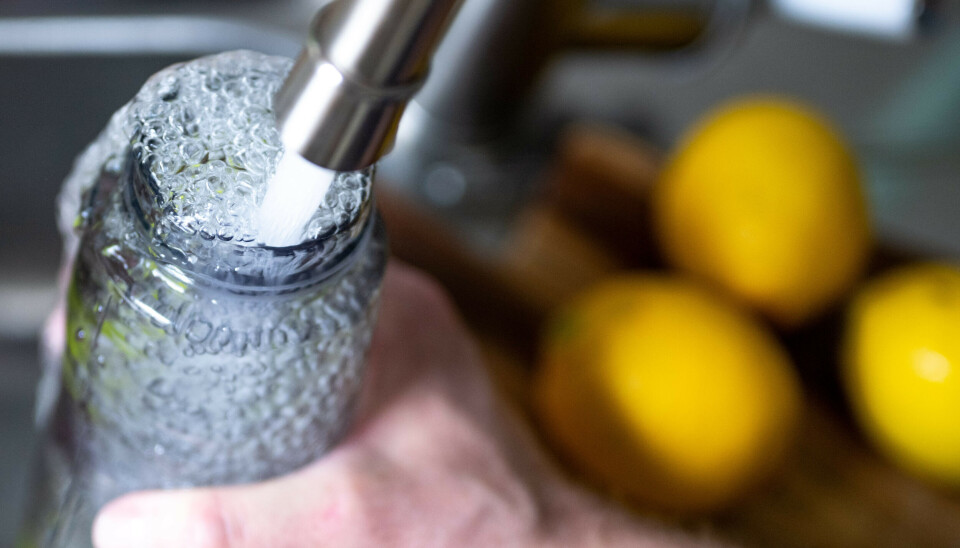 Trinkflasche reinigen: Warum Wasser allein nicht reicht