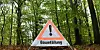 In Hamburg wird es kahler – und doch undurchsichtiger. Der NABU kritisiert unzureichende Transparenz in Hamburgs Baum-Registern.