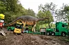 Großer Dinosaurier auf einem Tieflader neben grünen Lastwagen und einem gelben Baufahrzeug im Wald