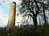 Ein ungewohnter Anblick auf dem Sonntagsspaziergang: Ein Holzpenis am Wegesrand.
