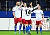 HSV-Profis jubeln gegen Erzgebirge Aue
