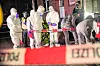 Am 10. Januar sichern Polizeibeamte:innen in Neuallermöhe Spuren.