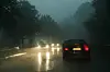 Die Polizei in Ludwigslust warnt Autofahrer vor der Gefahr von Wildunfällen. (Symbolbild)