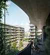 Moringa Haus