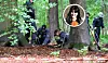 Vermisste Hilal: Polizei durchkämmt Waldstück bei Norderstedt