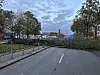 Eine große Linde ist am Samstag auf die Budapester Straße gekracht.