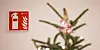 Gefahrenpotenzial: mit Strom betriebene Weihnachtsartikel (Symbolbild).