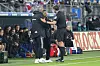 Schiedsrichter Deniz Aytekin muss HSV-Trainer Tim Walter und Schalke-Coach Dimitrios Grammozis beruhigen.