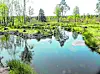 Feenteiche im Büsenbachtal