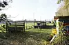 Die Baseballanlage am Mittleren Landweg in Billwerder. Die Stadt will die Anlage für rund 800.000 Euro modernisieren und eine neue Tribüne bauen.