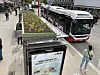 Seit Juni 2021 ist das Dach der Bushaltestelle an der Osterstraße begrünt.