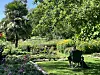 Botanischer Sondergarten