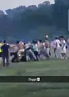 Ein Mob bei einer Prügelei im Stadtpark