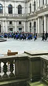 HSV-Profis erscheinen im Rathaus
