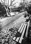 Auf dieser Bank am Alsterlauf unweit der Brabandstraße nahm sich Axel Springer jun. 1980 das Leben. Dort wo er saß, ist der Schnee geschmolzen.