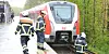 An der S-Bahn-Station Langenfelde drohte ein Baum auf die Gleise zu stürzen.