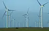 Windenergieanlagen in Schleswig-Holstein (Symbolbild).