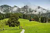 Dank seiner Lage inmitten der Tiroler Alpen und seinem Tiroler Charme ist Alpbach gerade bei Wanderern sehr beliebt.