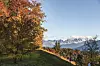 Die Tiroler Seefeld-Region ist ein Wander-Eldorado.