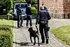 Polizisten mit Spürhund vor einem Polizeiwagen.